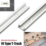 CAUSI 1Pcs T-Track, Aluminium Alloy T Slider Fixture Slot Slide T-Slot Track, 19 Type 19x9.5mm Slide