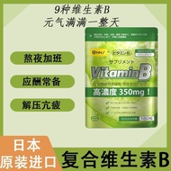 Japan HHJ High-Quality Vitamin B Enhance Metabolism Super Cost-Effective All 9 Types B Family Vitami