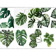 Laminated Wall Decor (Plants and Leaves)