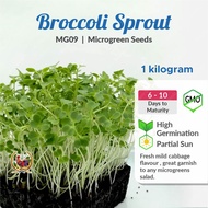 [1 KG] MG09 Broccoli Sprout Microgreen Seeds