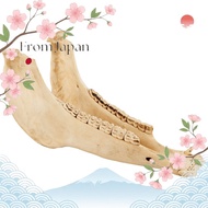 [Direct from Japan]TELLO Teijo Kihada TG-L08