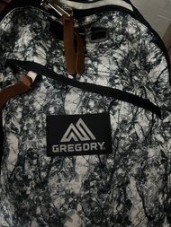 Gregory Backpack 26L
