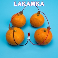 LAKAMKA Fruit Battery Science Experiment Kit, STEM Experiment Kit Potato Powered Electricity Experim
