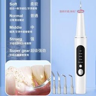 【D】超聲波洗牙機 電動潔牙器 牙結石清除器 家用牙結石去除器超聲波去除牙垢牙結石清理器洗牙器牙結石神器