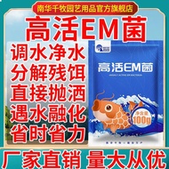 EM Bacteria Degreasing Film Old Green Water Reduces Sub-Salt Ammonia Nitrogen Purification Regulates