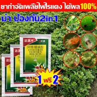 ⚡️กำจัดไรแดงให้สิ้นซาก🐞 ยากำจัดไรแดง ยาฆ่าแมลง หนอน เห็นผล100% ปราบศัตรูพืชใน ส้ม หอม กระเทียม ทุเรี