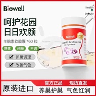 Quality Assurance] biowell Sheep Placenta Sheep Placenta Capsules Female Conditioning Internal Condi