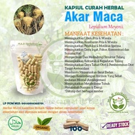 AKAR MACA 100 kapsul curah herbal stamina libido kesuburan hormon pria