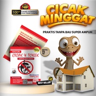 PEMBASMI CICAK-RACUN CICAK-ANTI CICAK-PBAT CICAK 100% ASLI DAN SANGAT AMPUH!!