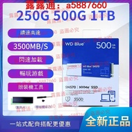 WD/西部數據 SN570 500G 1TB M.2 NVME固態硬盤250G SSD替代SN550