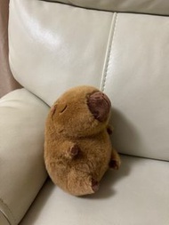 Capybara可愛水豚公仔