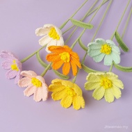 Anyaman Kasih Cici - Selesai Merentas Sempadan Bunga Gesang Comel Benang Buatan Tangan Dikait Sejamb