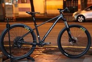 -中年大叔-GIANT FATHOM XC 登山車 TRANCE/EAGLE/ENDURO/AM