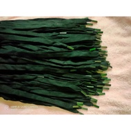 Aglets premium square hoodie strap 110cm