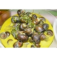 11. 一周粉碎20年代珊瑚石 (BATU KARANG 20s) -GONDANG GONDANG 369-胶囊 Pemecah Batu Karang 30 Biji Gondang Keluar