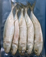 ปลาทูเค็มปลาทูหอมปลาทูมัน ขนาดไซด์ 10-12ตัว1กิโลกรัม แพ็คสูญญากาศ500กรัม