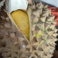 d5 Durian Utuh Fresh Petruk