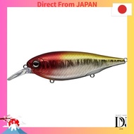 【Direct from Japan】Evergreen (EVERGREEN) Xover #