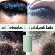 SEAWEED SHAMPOO ANTI-DANDRUFF OIL CONTROL shampoo penghilang kelemumur kulit kepala gatal buang kele