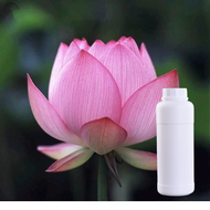 0.5kg 1kg Lotus Fragrance Oil Concentrate