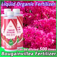 Bougainvillea Fertilizer 300ML Organic Fertilizer for Bougainvillea Liquid Fertilizer