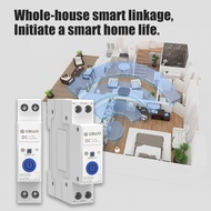 Lavo WOSOM TUYA wifi MCB Smart Remote Control DC DC Circuit Breaker