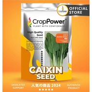(500 GRAM) Biji Benih Sawi Jumbo Green 绿珍 CX9 CROP POWER F1 HYBRID Caixin seeds  菜心种子 CX 9