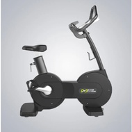 DHZ Fitness Upright Bike X9107