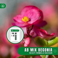 Resep Ab Mix Begonia Formula Racikan Nutrisi Bunga Begonia
