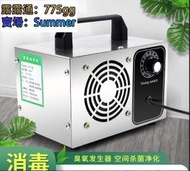 【熱賣】 110v 20克臭氧機 .專業級臭氧發生器消毒機 .灰塵細 毒空氣淨化  露天市集  全臺最大的網路