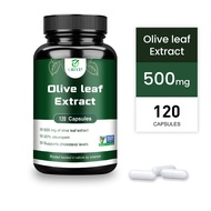 Viên nang chiết xuất lá ô liu Grevip chứa 20% oleuropein bảo vệ tim và não điều hòa lipid máu và tăn