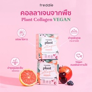 New Lot 2 กล่อง Freddie Plant Collagen คอลลาเจนจากพืช vegan collagen เผยผิวสวยใสสุขภาพดี No Sugar วี