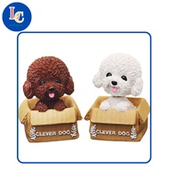 DOG SITTING IN BOX decorates birthday cakes, cute dogs decorate cakes