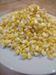 jagung manis pipil jagung buat jasuke si madu 500gram jagung mentah