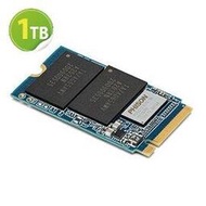 【鴻駿科技】OWC 1TB SSD Aura P13 NVMe M.2 2242 PCIe Gen3.1 x4