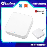 Tuya Wifi Bridge Wireless Wifi Gateway 2.4G Smart Life APP Remote Control Devices