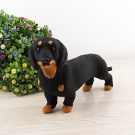 Simulation Dog Black Dog Black Dachshund Dog Dachshund Dog Model Teaching Mold Home Decoration Child