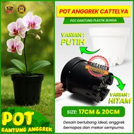 POT ANGGREK CATTELYA pot plastik lubang pot bunga pot gantung anggrek