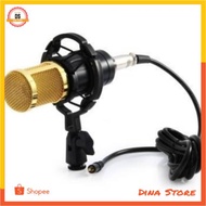 Studio Condenser Microphone With Shock Mount - BM-800