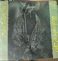 二手中古黑膠唱片劉美君 Subtropical Boy