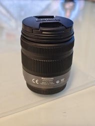 Panasonic Lumix 14-42mm Lens