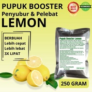 Pupuk Booster Lemon / Obat Booster Buah Lemon / Pupuk Booster Buah Lemon / Pupuk Buah Lemon