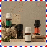 [DIONEL] Inner Perfume Women's Cleaner Y Zone Care Underwear Oil 5 ml