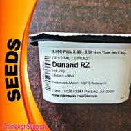 DUNAND RZ CRYSTAL LETTUCE seeds LIKE LALIQUE (1000 pills) Rijk Zwaan