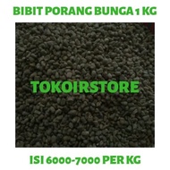 Bibit biji bunga porang isi 6.000 sampai 8.000 per kg Bibit biji bunga