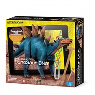 4M - Stegosaurus – Dinosaur. DNA/Educational Toys
