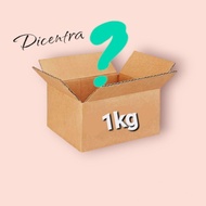 BIGBANG - 1KG BIGBANG OFFICAL GOODS