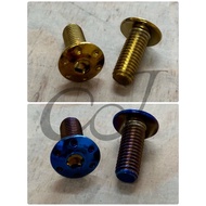 CJ Ebike Burnt Titanium screw Flat Round screw screw M6 M8