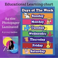 Days of the Week Chart Laminated - Educational Learning materials