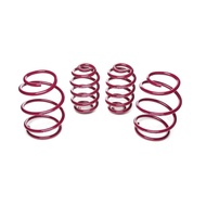 Vogtland Sport Lowering Spring BMW E46 316i 318i